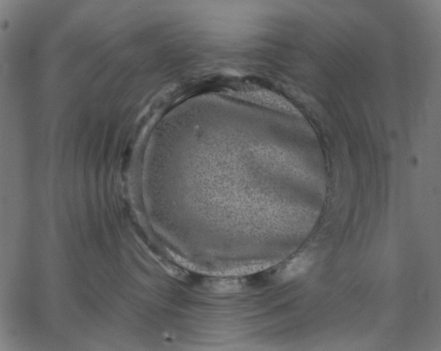 X0000067840384200604271626