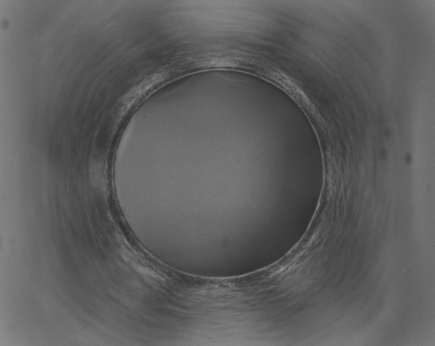 X0000067840386200604271625