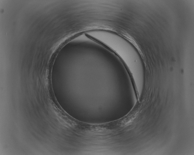 X0000067840387200604271625