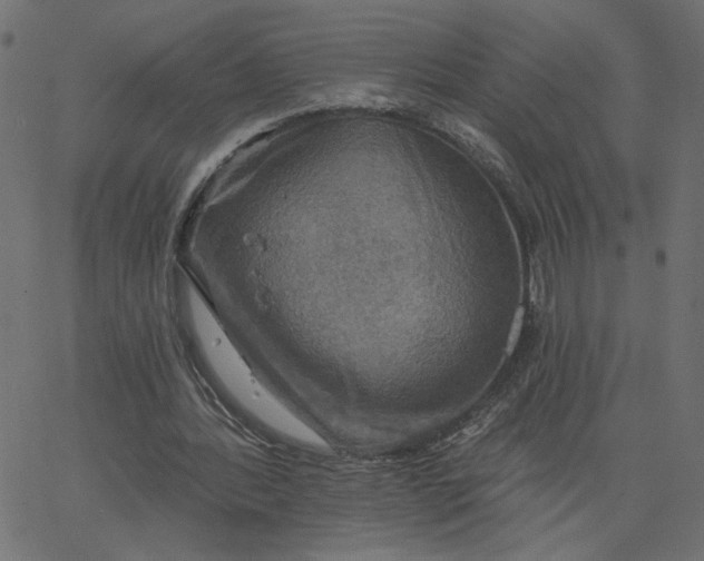 X0000067840388200604271625