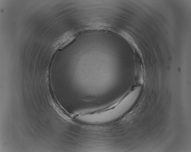 X0000067840389200604271625