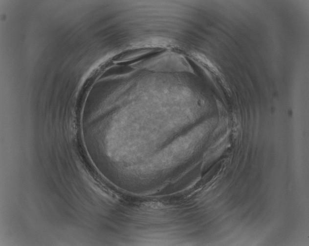 X0000067840392200604271625