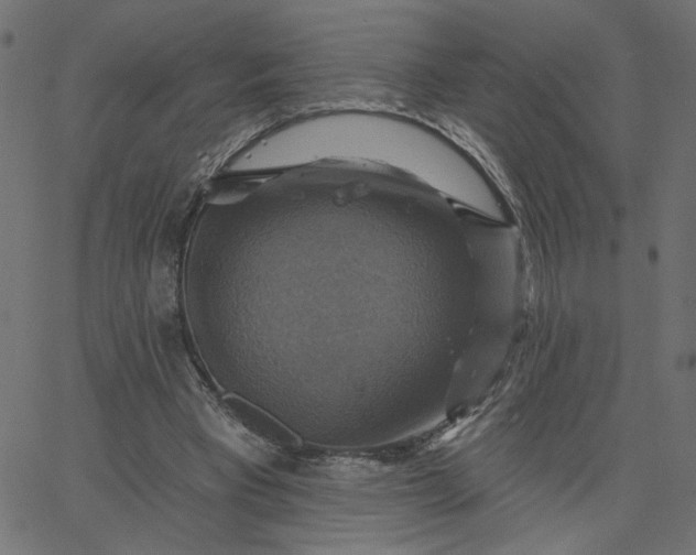 X0000067840393200604271625