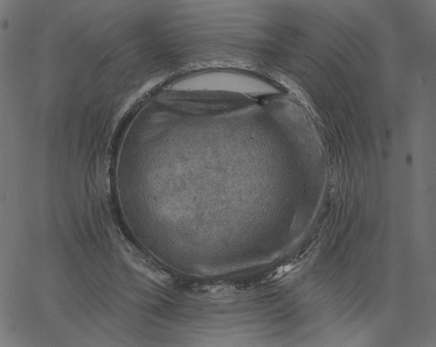 X0000067840395200604271625