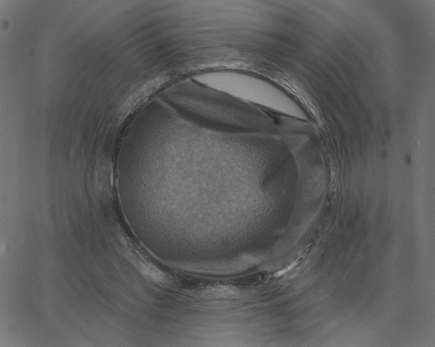 X0000067840397200604271625