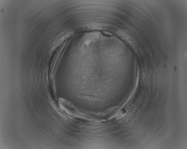 X0000067840398200604271625