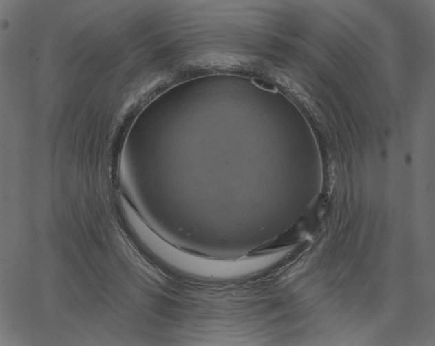 X0000067840399200604271625