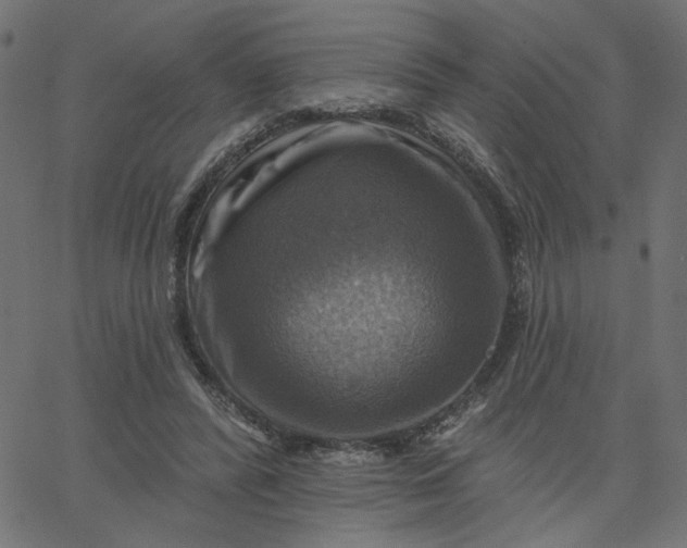 X0000067840400200604271625