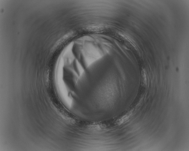 X0000067840404200604271625