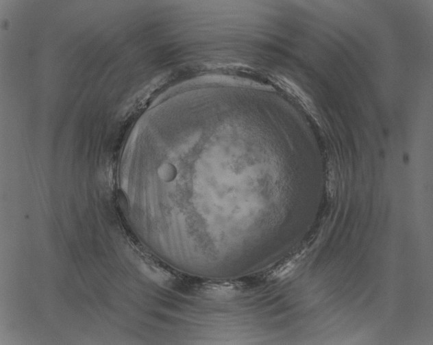 X0000067840405200604271625