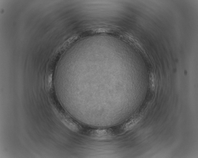 X0000067840406200604271625