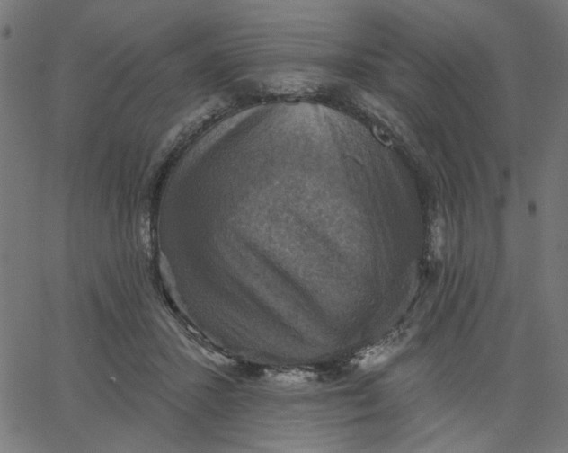 X0000067840407200604271625