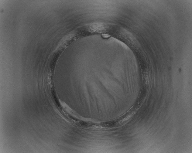 X0000067840408200604271625