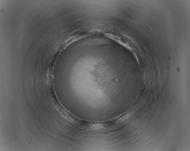 X0000067840409200604271625