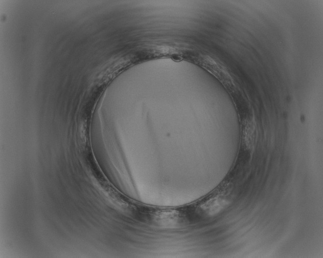 X0000067840410200604271625