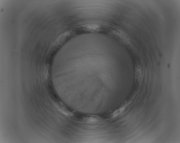 X0000067840412200604271625