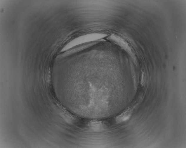 X0000067840413200604271625