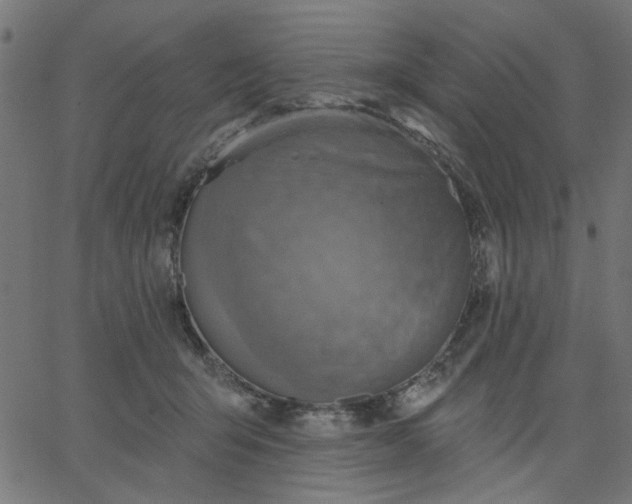 X0000067840415200604271624