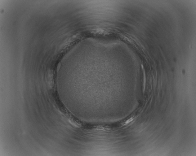 X0000067840416200604271624