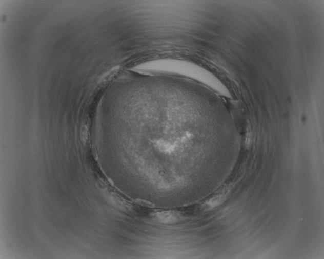 X0000067840417200604271624