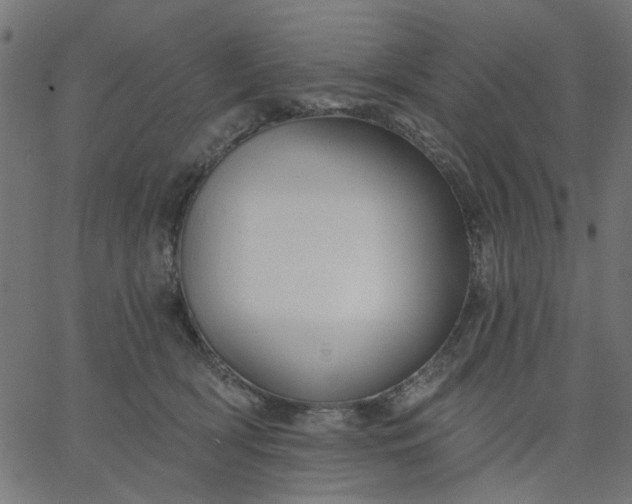 X0000067840418200604271624