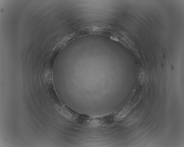 X0000067840419200604271624