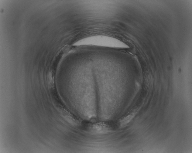 X0000067840420200604271624