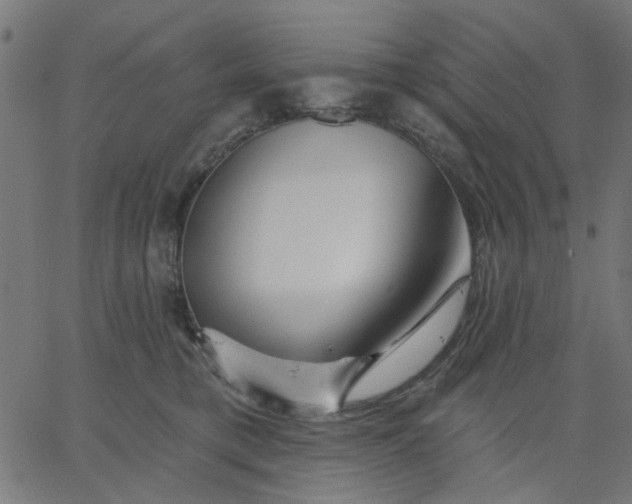 X0000067840421200604271624