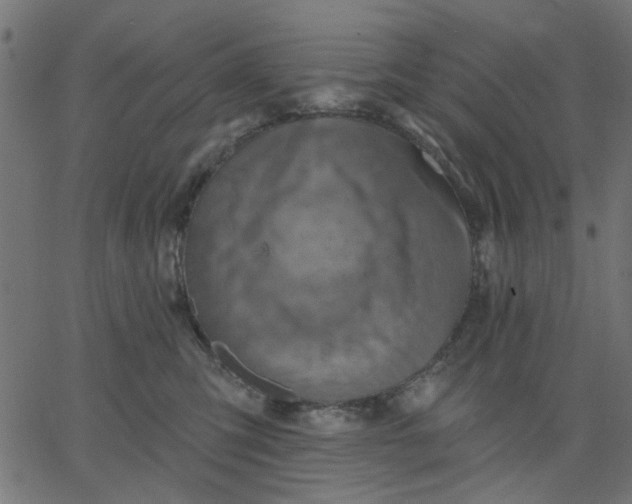 X0000067840423200604271624