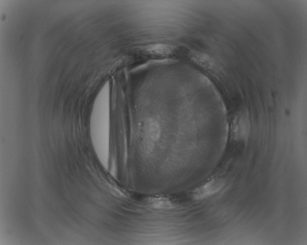 X0000067840424200604271624