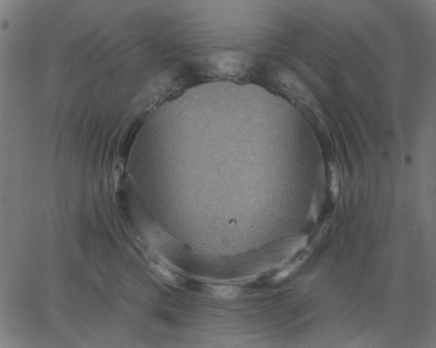 X0000067840425200604271624