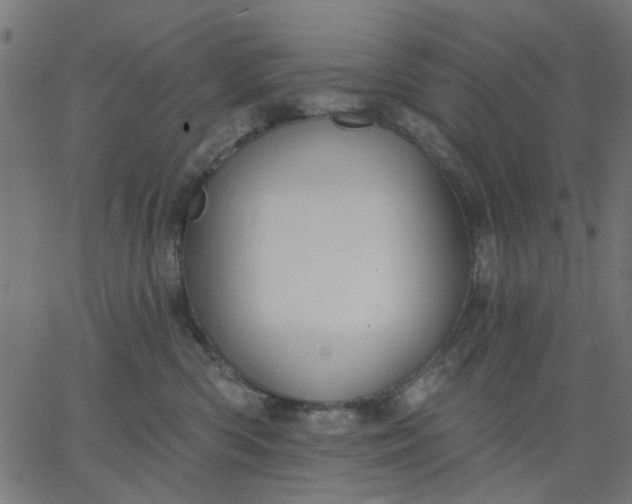 X0000067840426200604271624