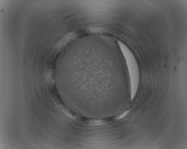 X0000067840428200604271624