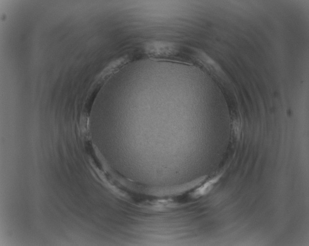 X0000067840429200604271624