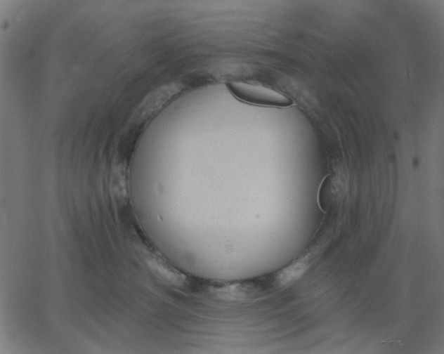 X0000067840430200604271624