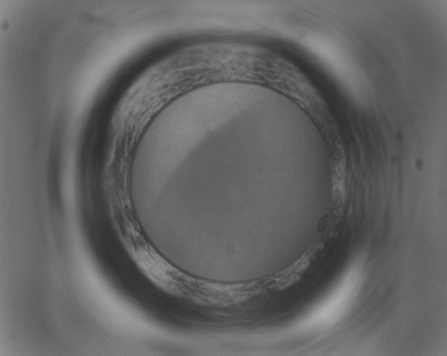 X0000067840431200604271624