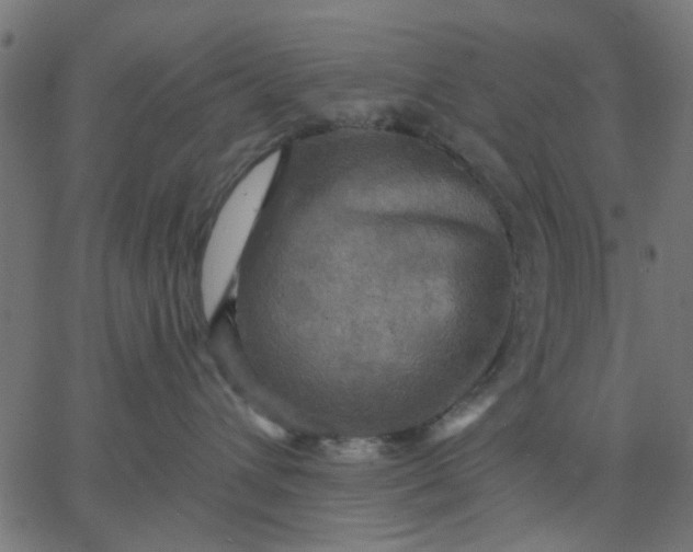 X0000067840432200604271624