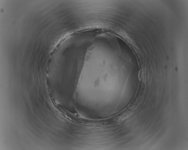 X0000067840434200604271623