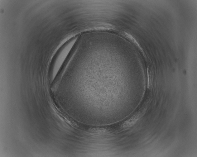 X0000067840435200604271623