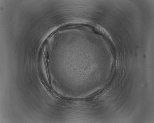 X0000067840436200604271623