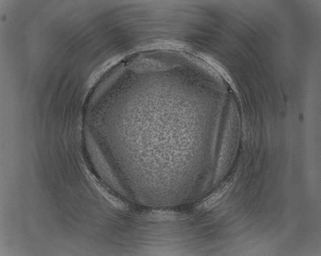 X0000067840437200604271623