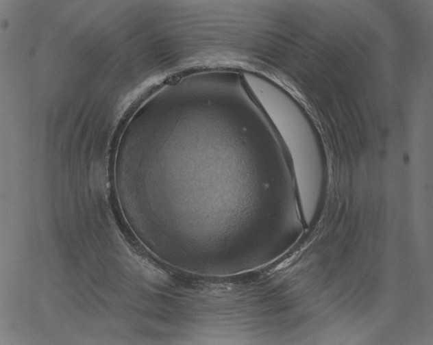 X0000067840438200604271624