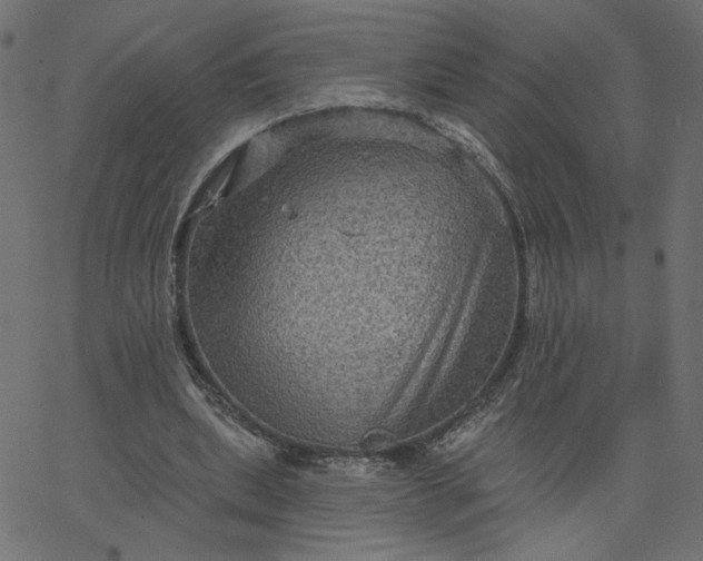 X0000067840439200604271624