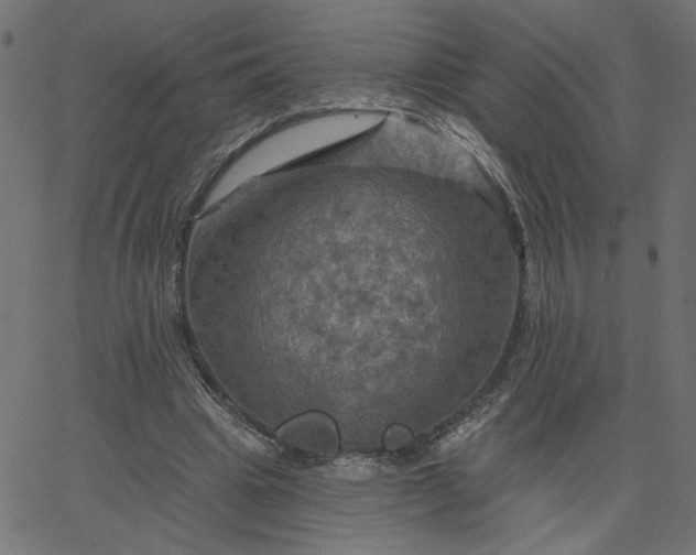 X0000067840441200604271624