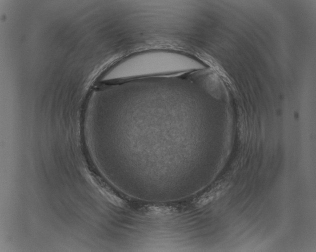 X0000067840442200604271624