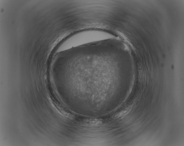 X0000067840443200604271624