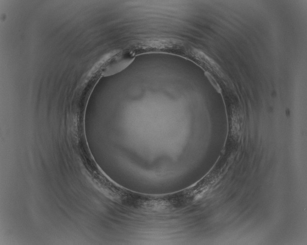 X0000067840444200604271624