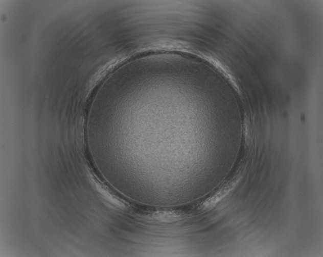 X0000067840445200604271624