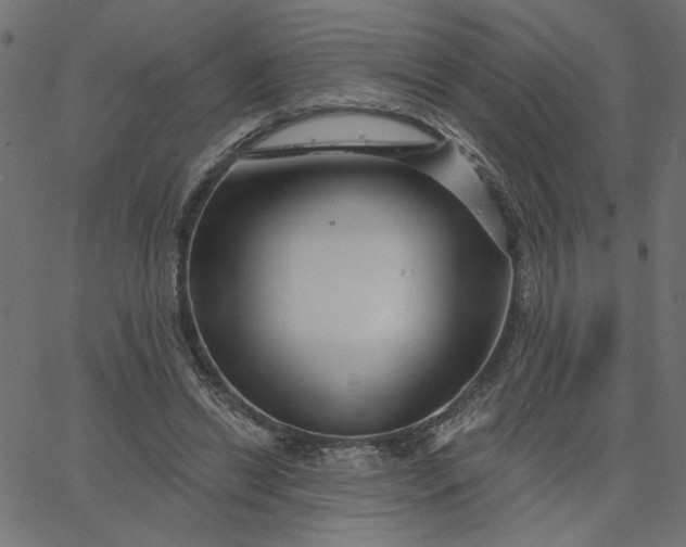 X0000067840446200604271624