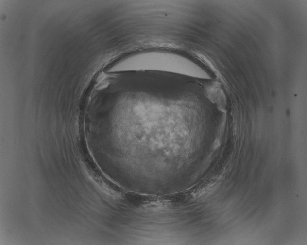 X0000067840447200604271624